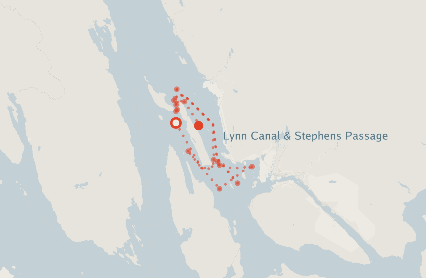 Activity map — real sighting points on an OpenStreetMap basemap