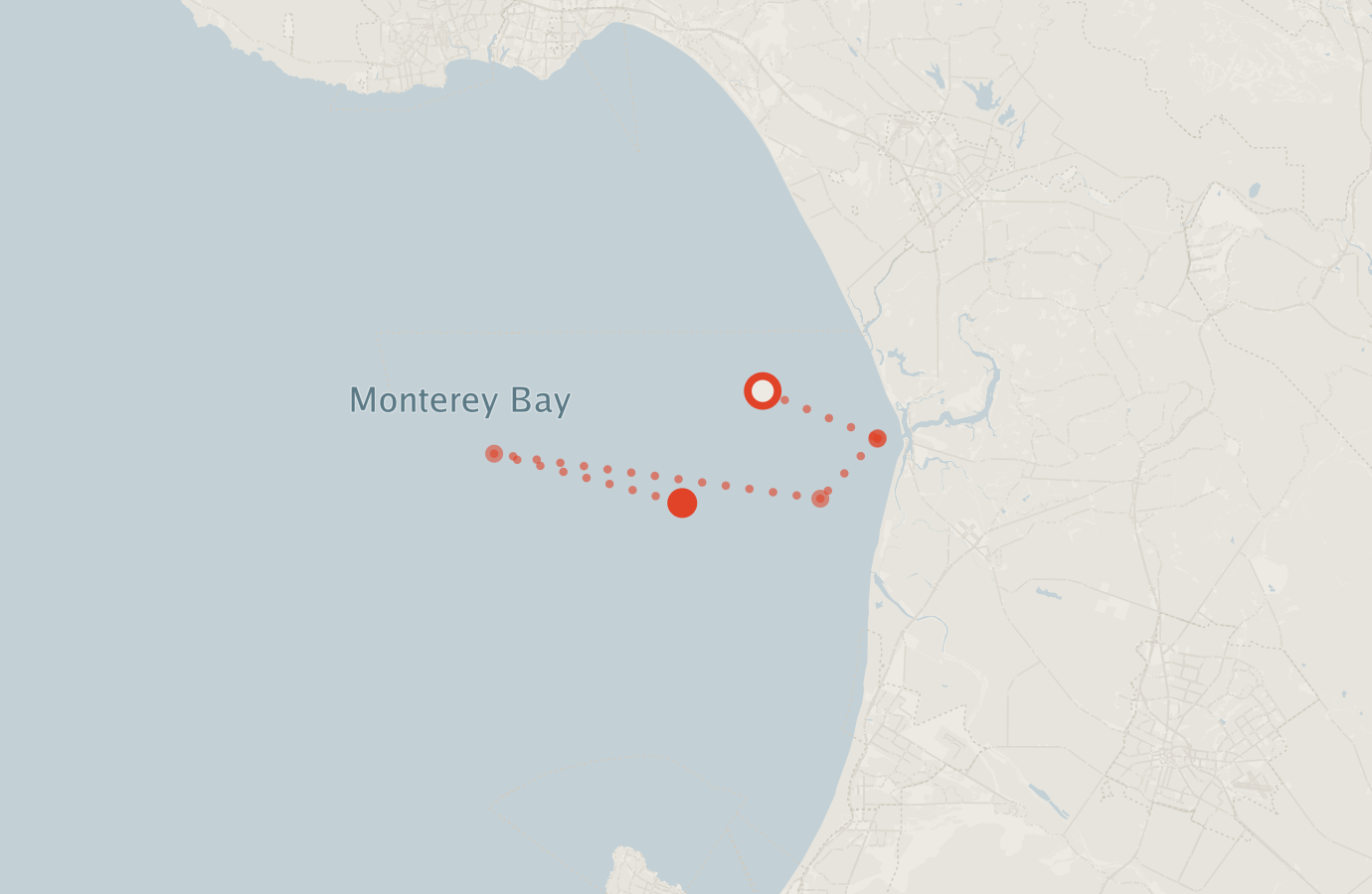 Activity map — real sighting points on an OpenStreetMap basemap
