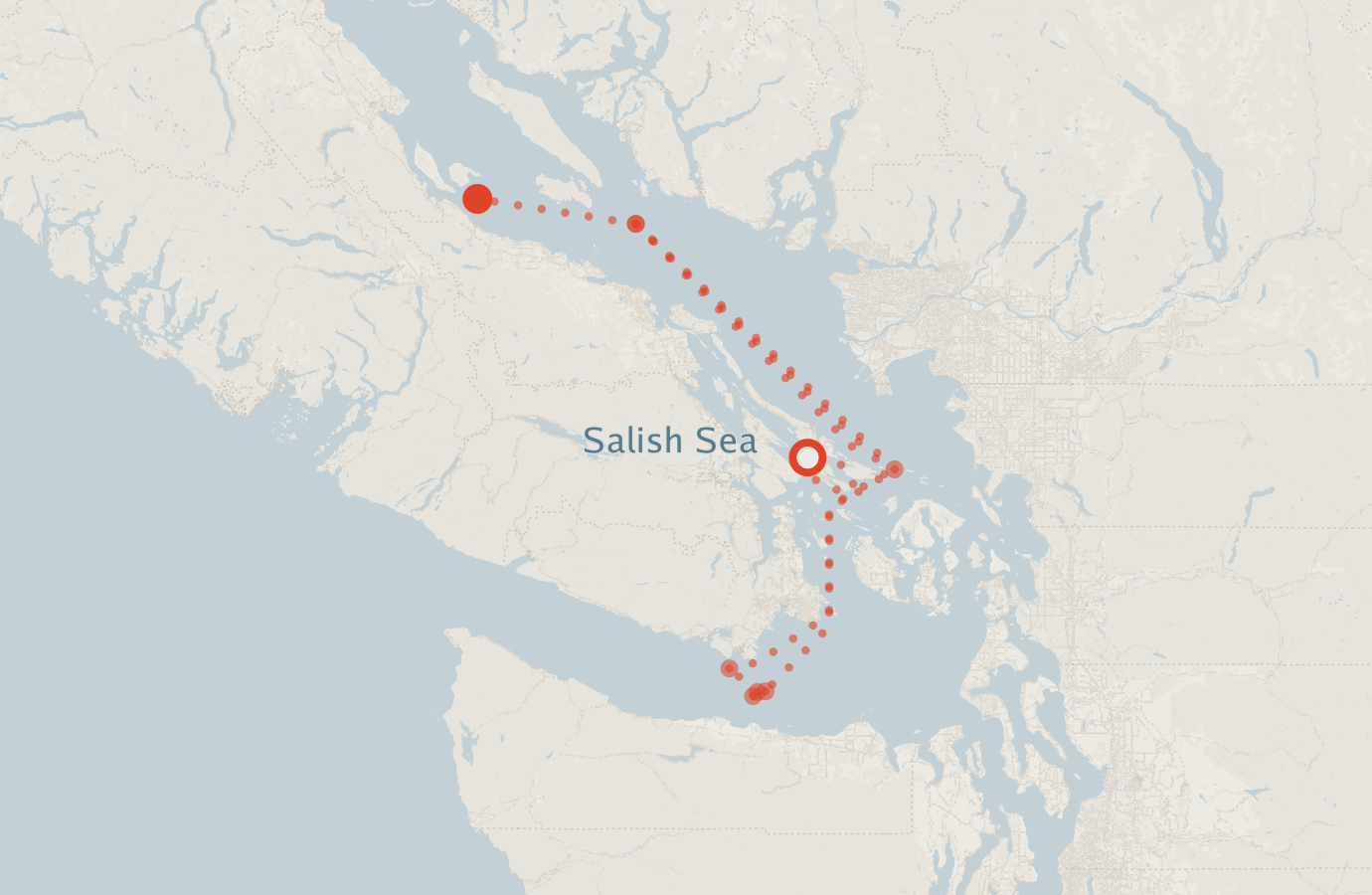 Activity map — real sighting points on an OpenStreetMap basemap