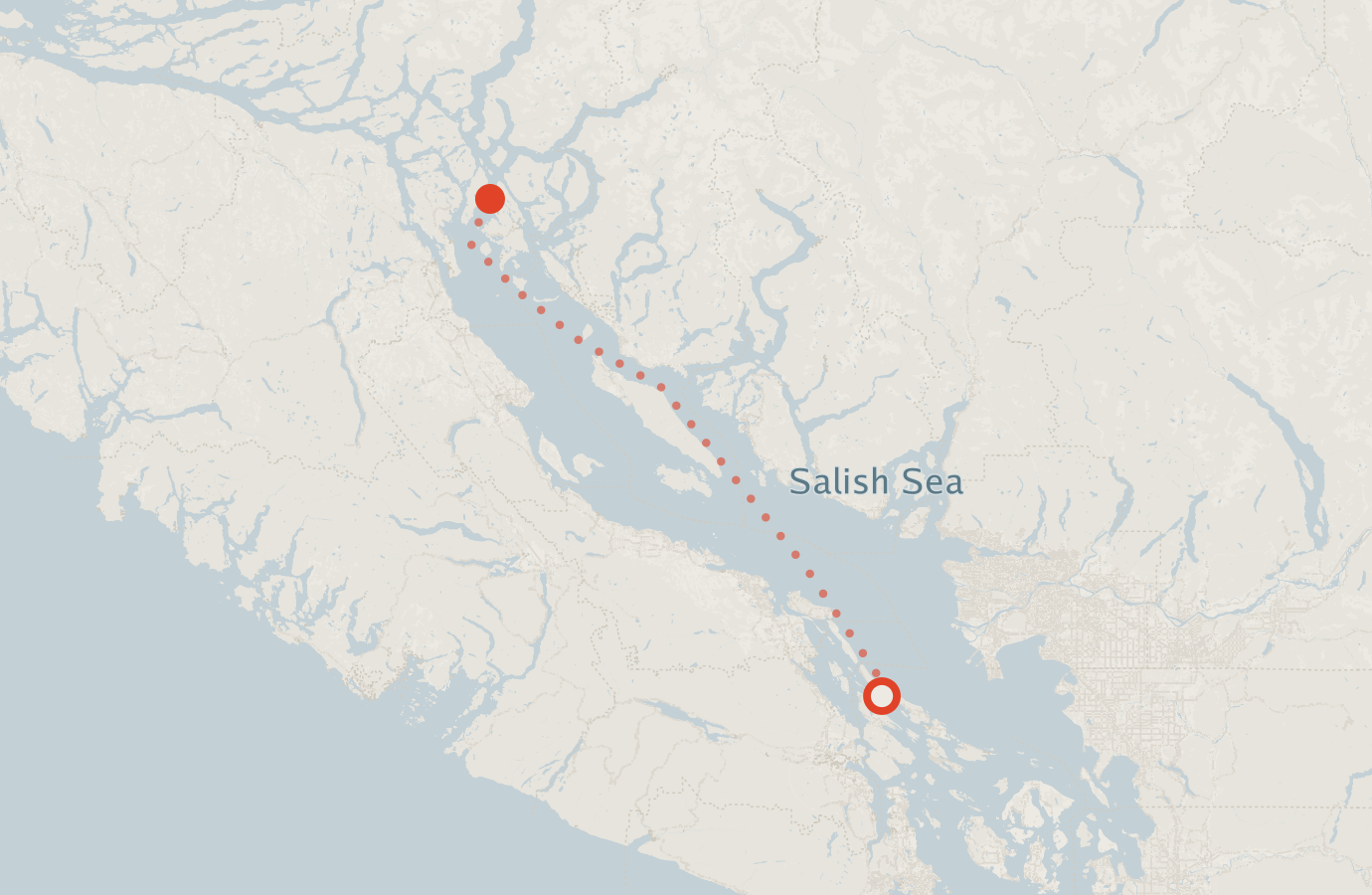 Activity map — real sighting points on an OpenStreetMap basemap
