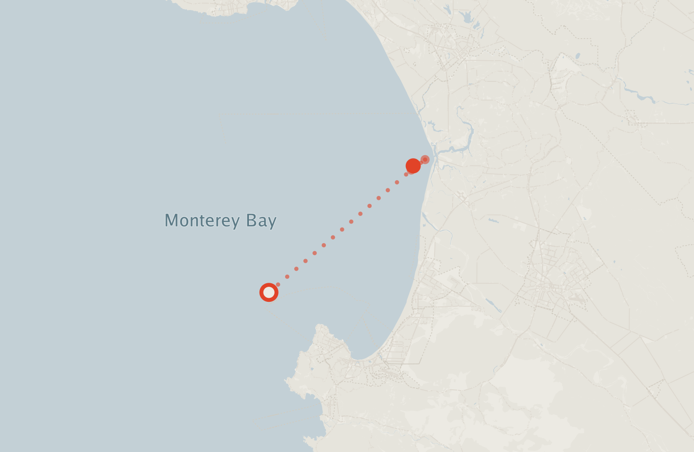 Activity map — real sighting points on an OpenStreetMap basemap