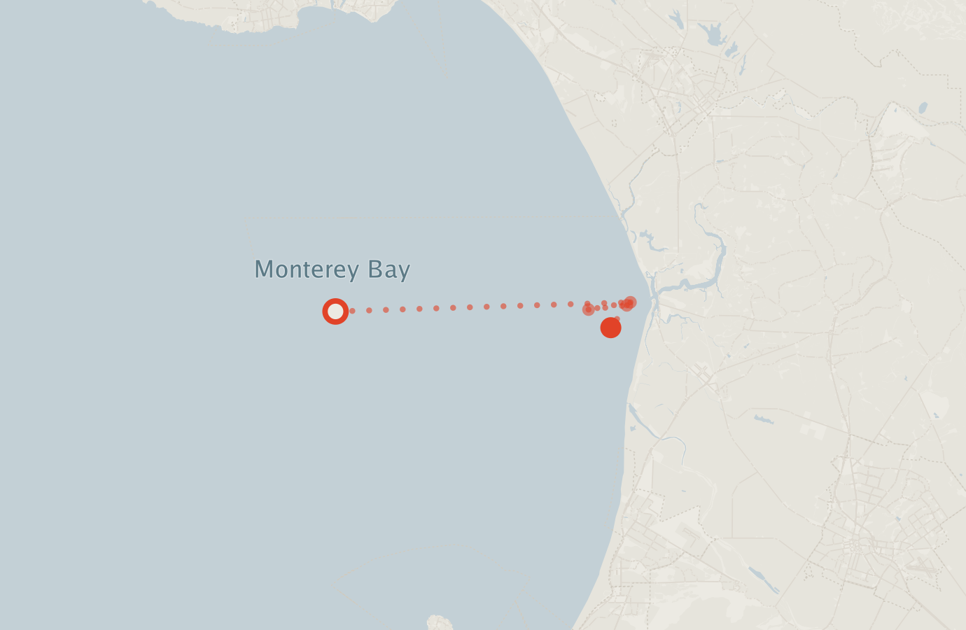 Activity map — real sighting points on an OpenStreetMap basemap