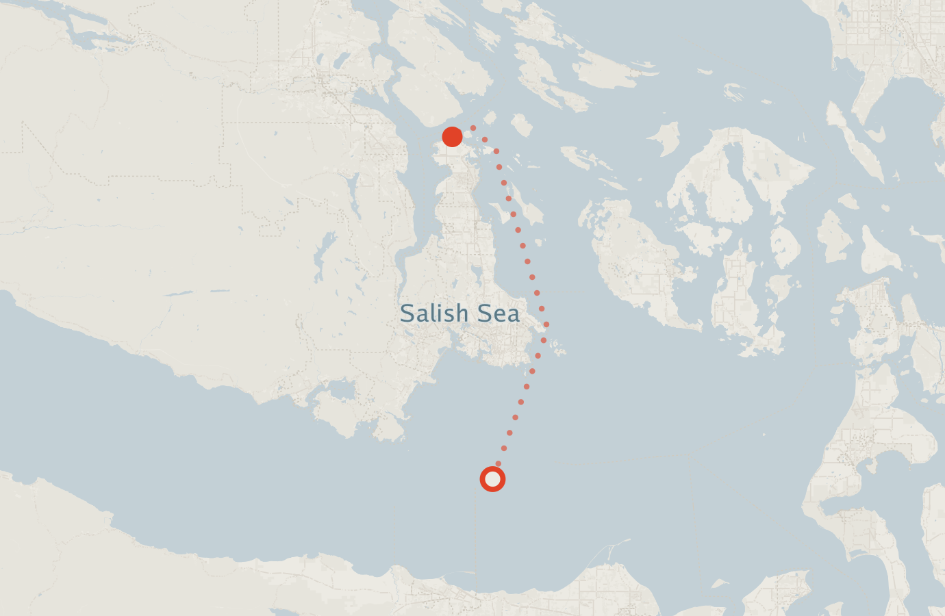 Activity map — real sighting points on an OpenStreetMap basemap