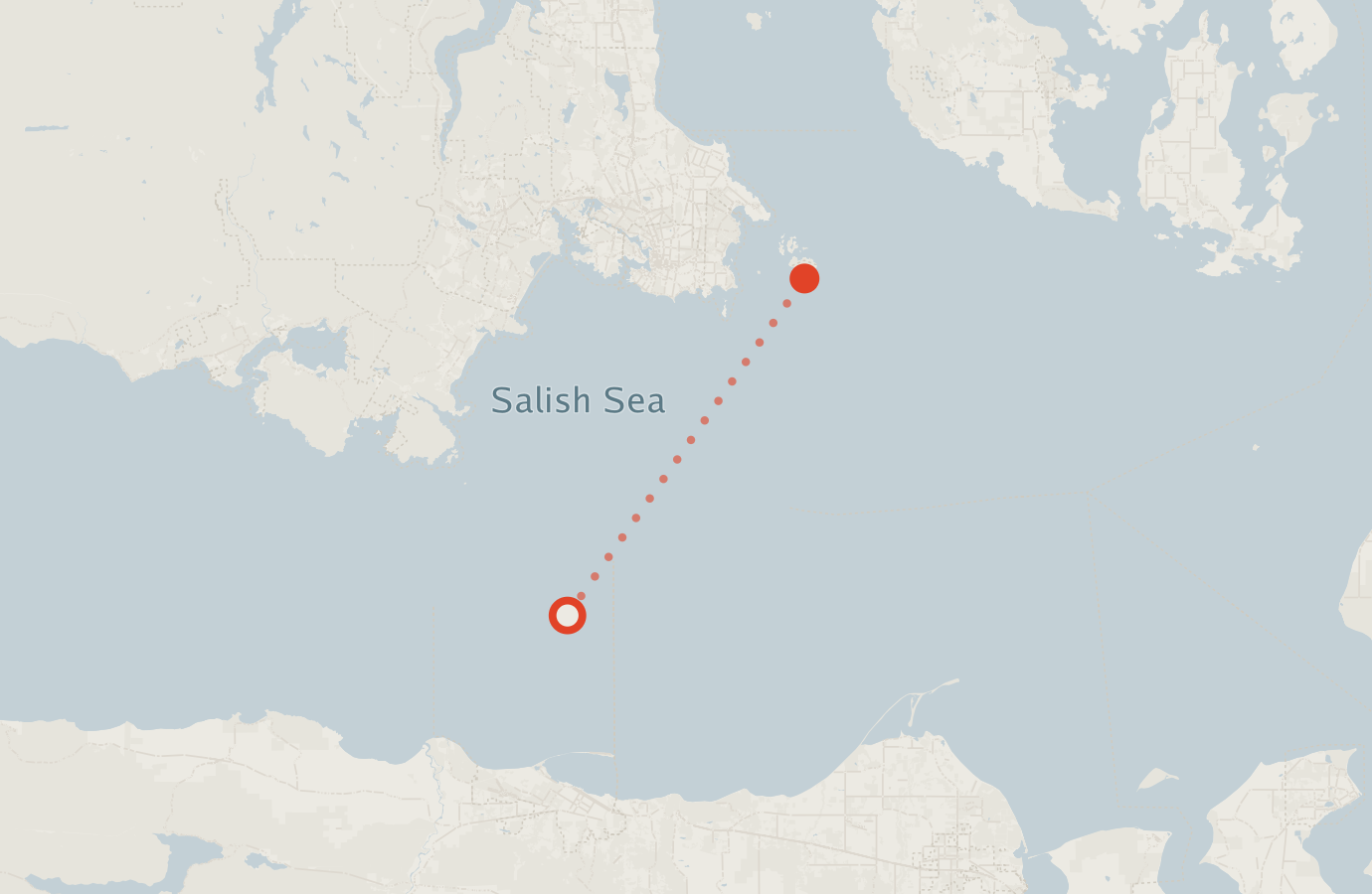 Activity map — real sighting points on an OpenStreetMap basemap