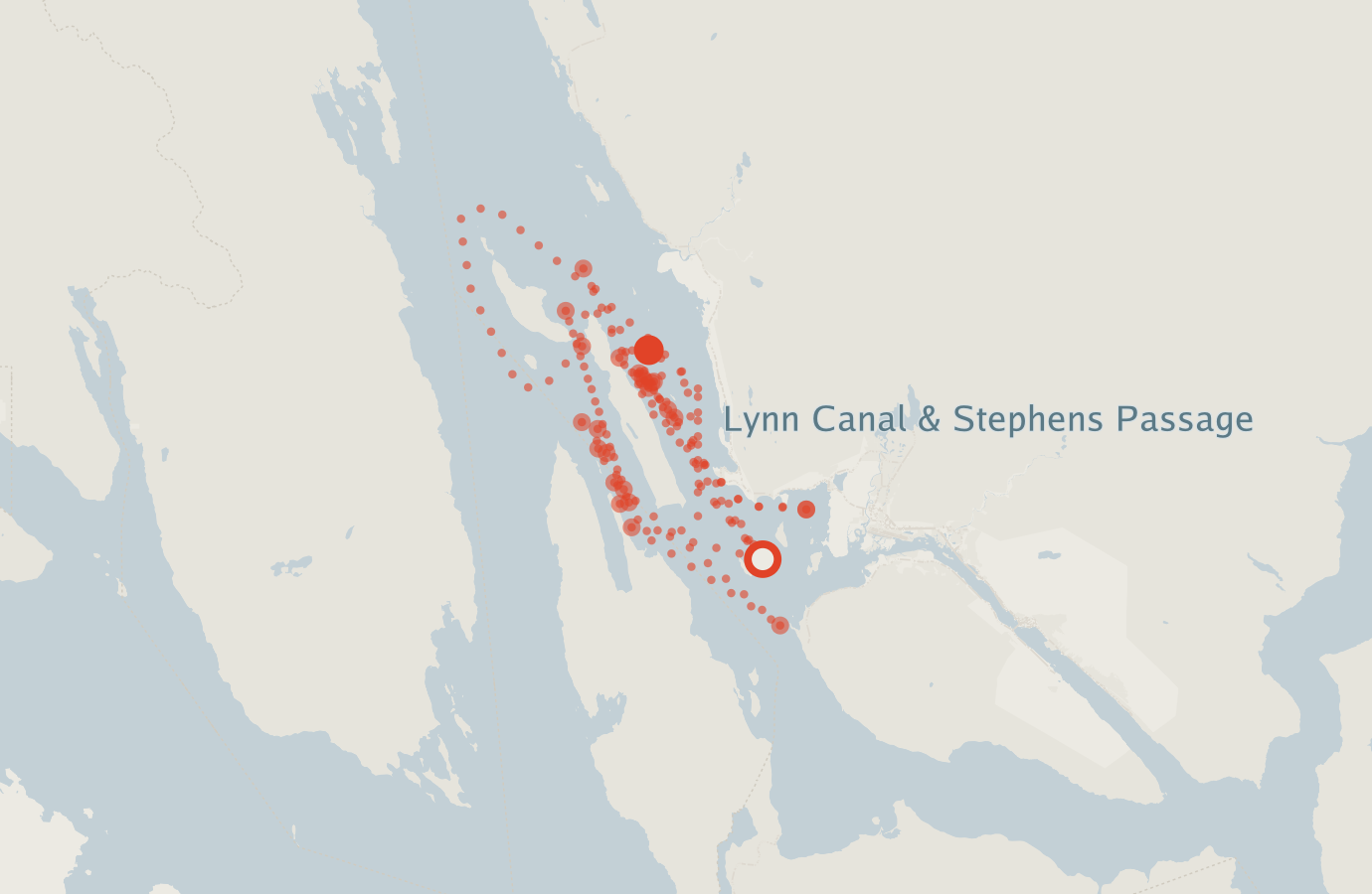 Activity map — real sighting points on an OpenStreetMap basemap
