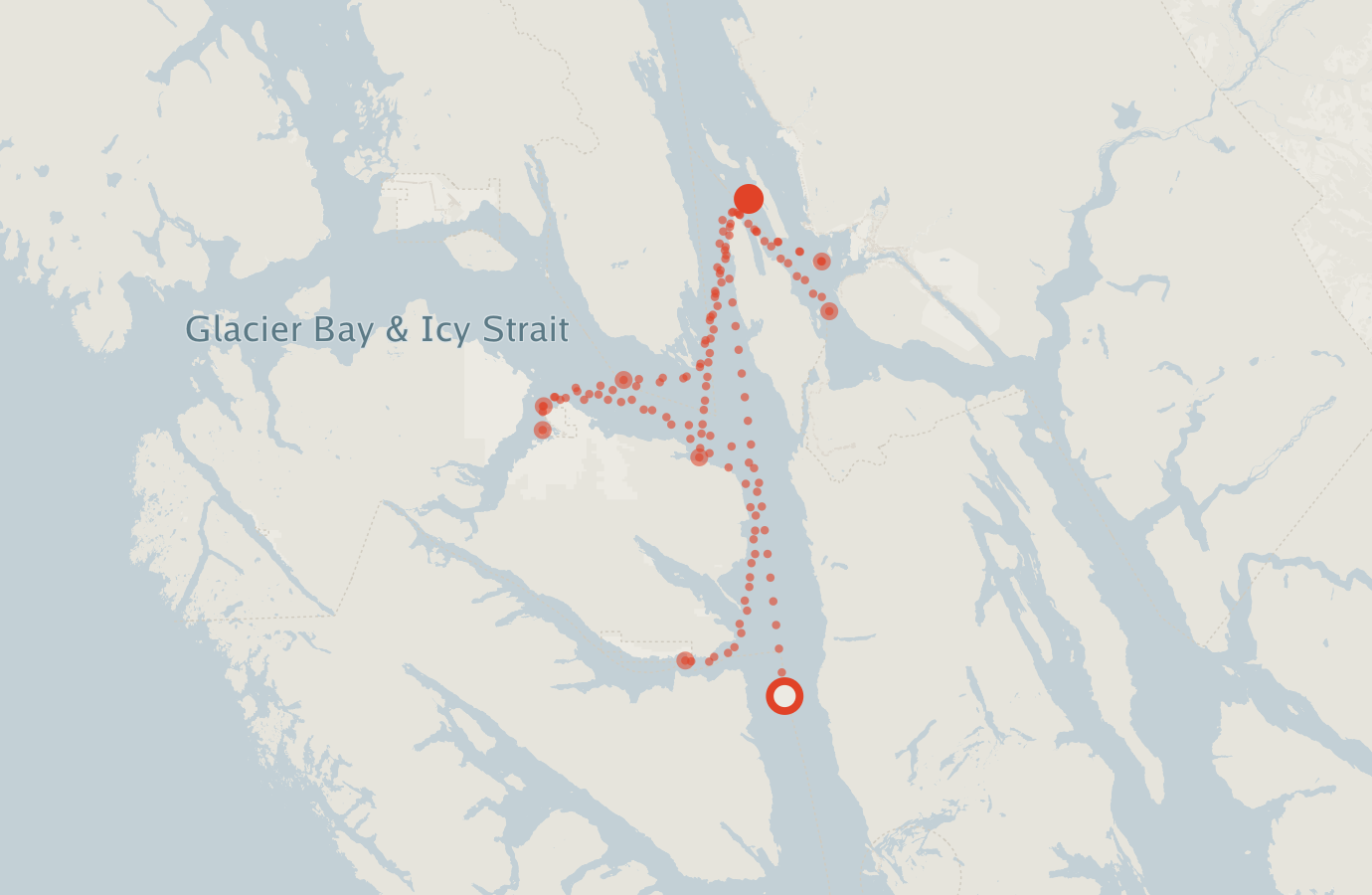 Activity map — real sighting points on an OpenStreetMap basemap