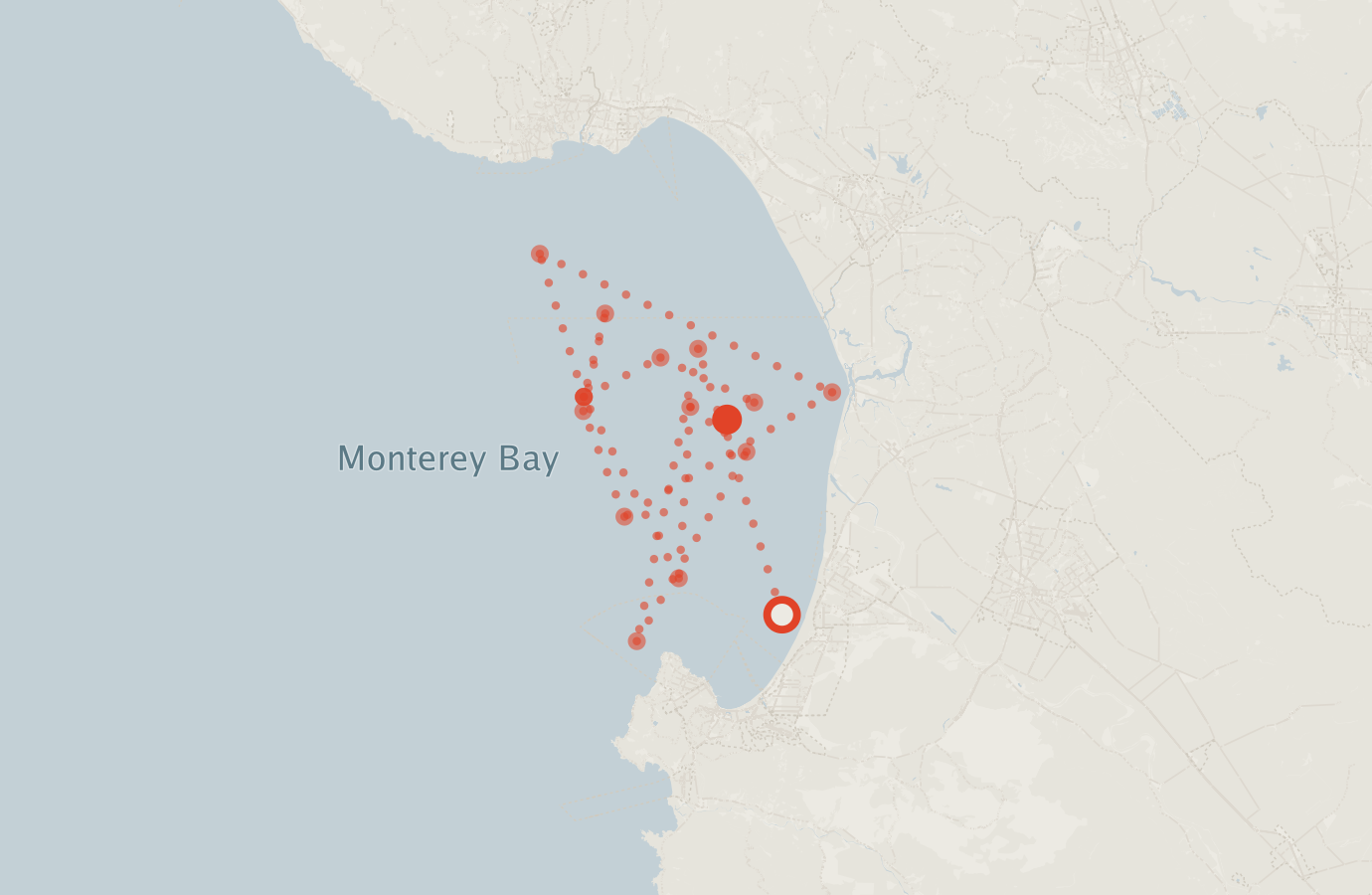 Activity map — real sighting points on an OpenStreetMap basemap