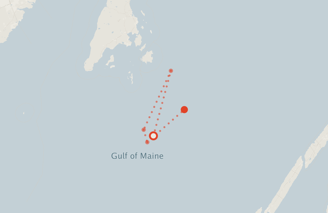 Activity map — real sighting points on an OpenStreetMap basemap