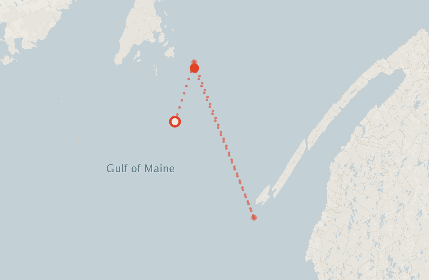 Activity map — real sighting points on an OpenStreetMap basemap