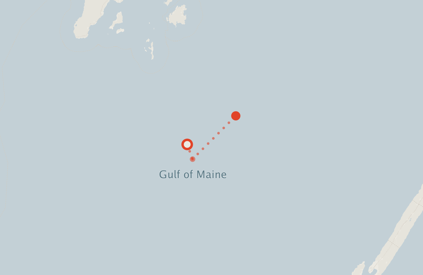Activity map — real sighting points on an OpenStreetMap basemap