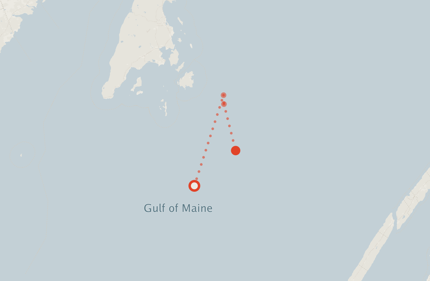 Activity map — real sighting points on an OpenStreetMap basemap