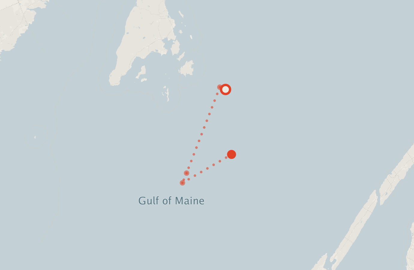 Activity map — real sighting points on an OpenStreetMap basemap