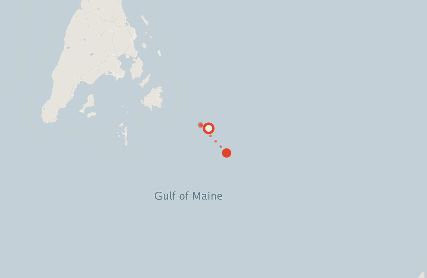 Activity map — real sighting points on an OpenStreetMap basemap