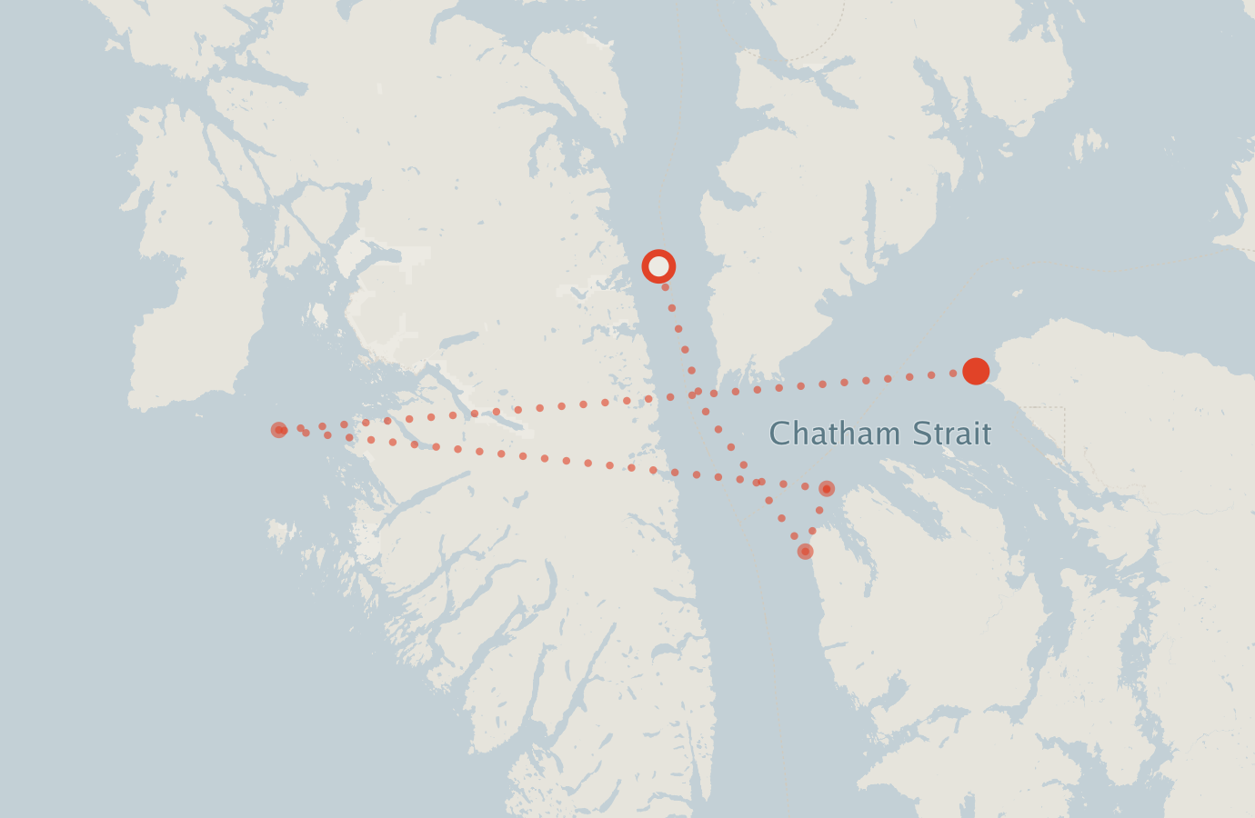 Activity map — real sighting points on an OpenStreetMap basemap