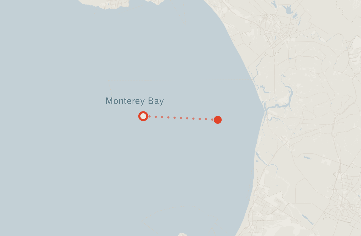 Activity map — real sighting points on an OpenStreetMap basemap