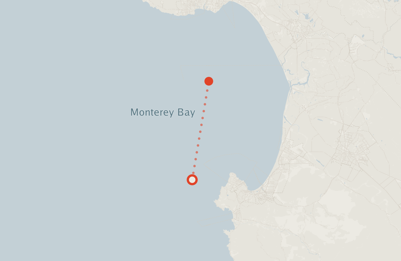 Activity map — real sighting points on an OpenStreetMap basemap