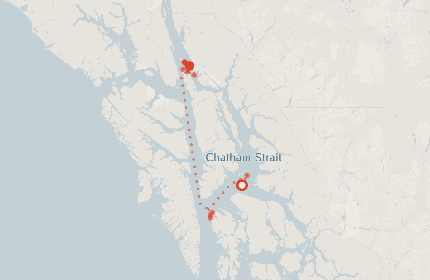 Activity map — real sighting points on an OpenStreetMap basemap