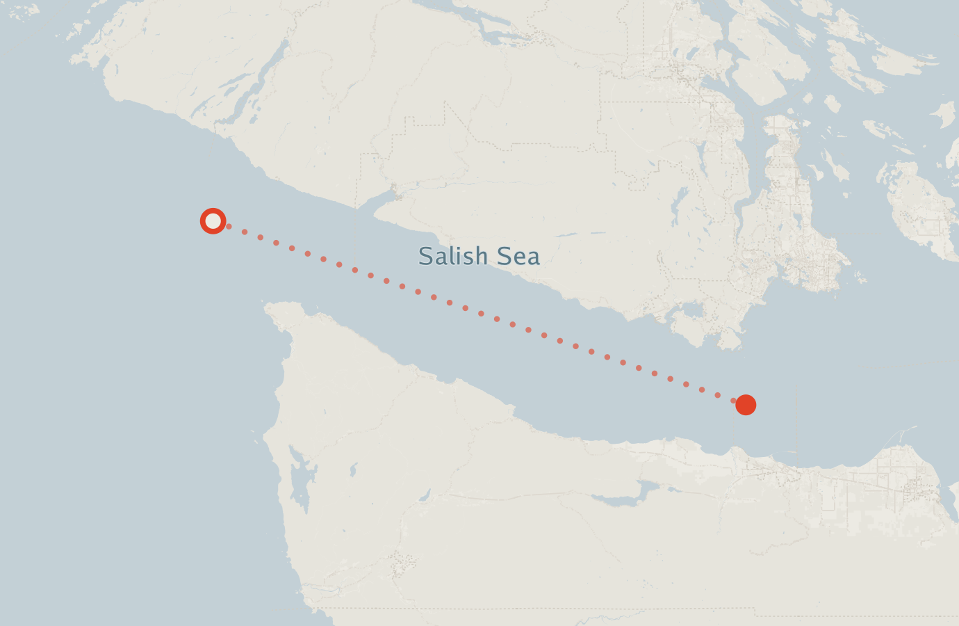 Activity map — real sighting points on an OpenStreetMap basemap