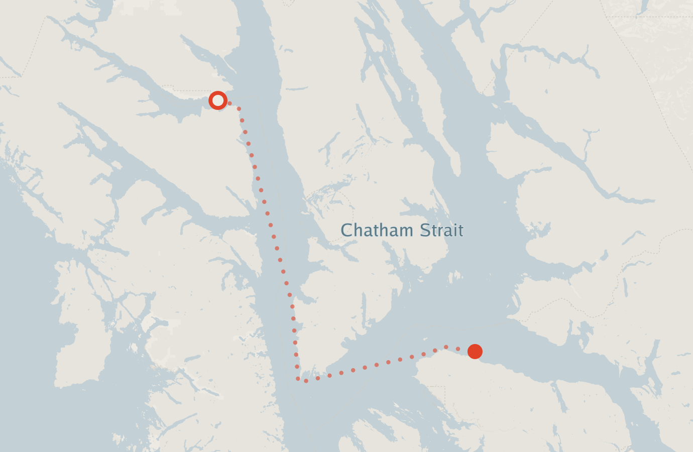 Activity map — real sighting points on an OpenStreetMap basemap
