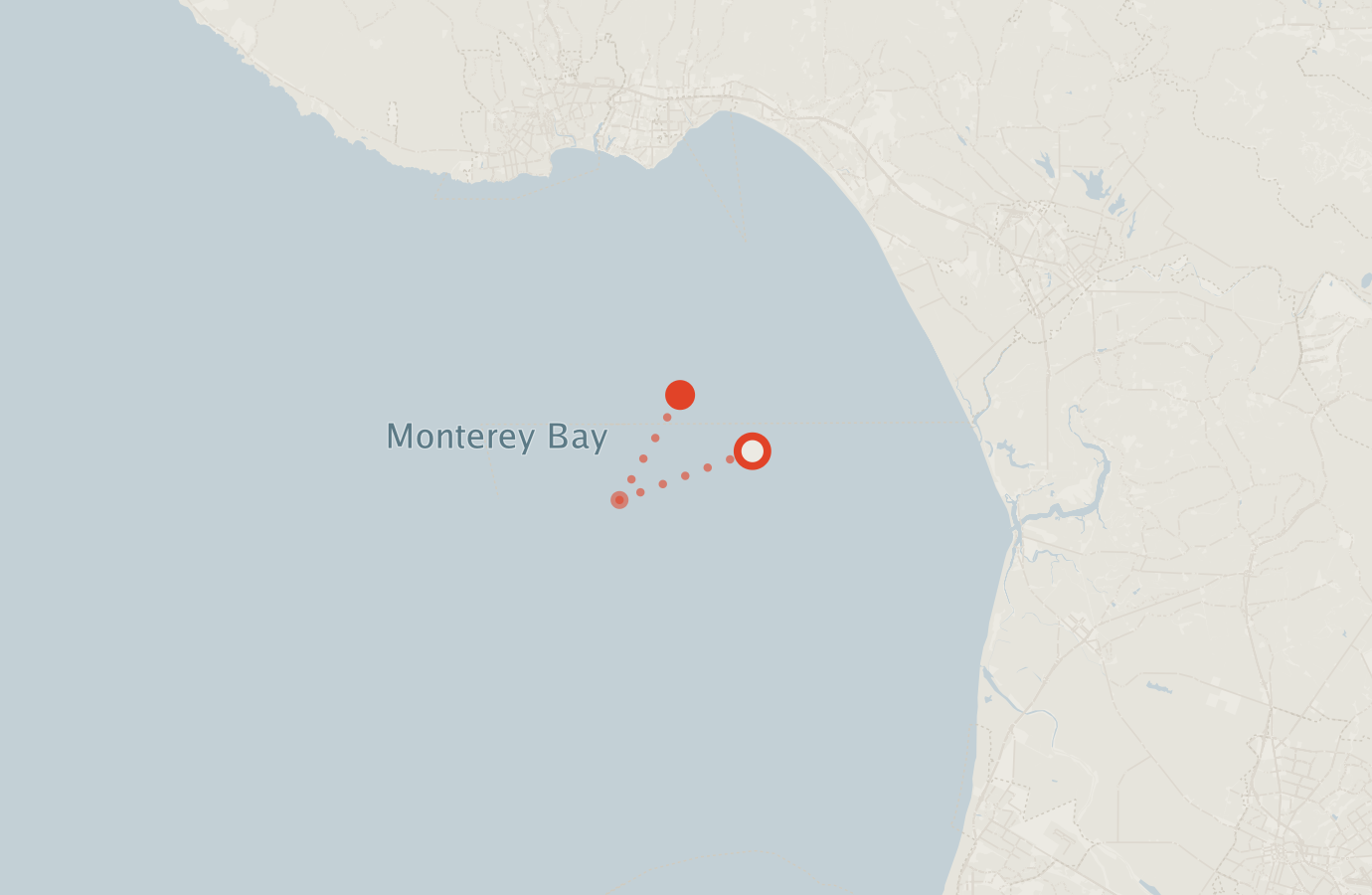 Activity map — real sighting points on an OpenStreetMap basemap