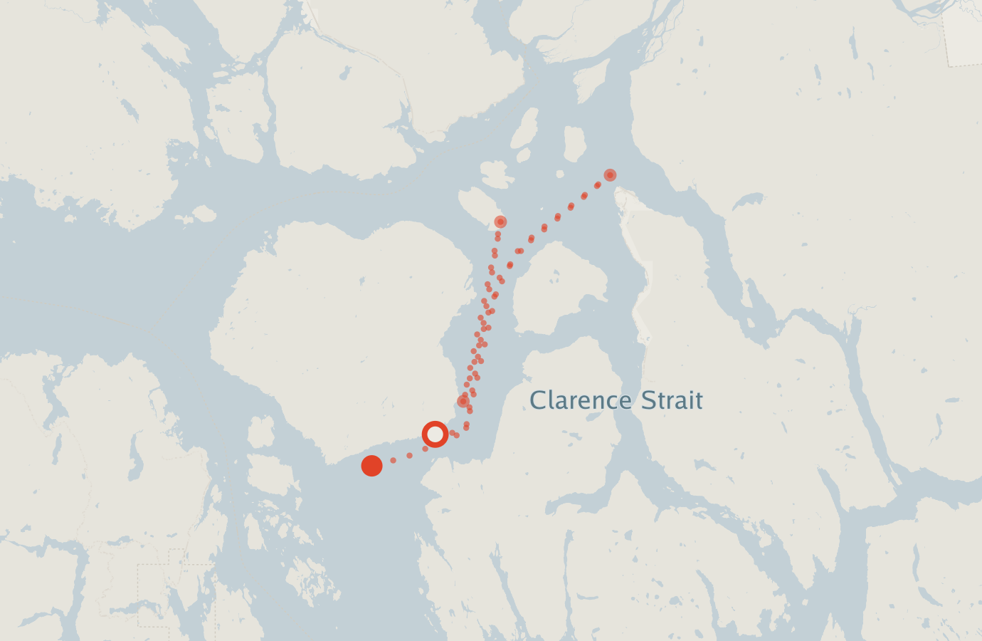 Activity map — real sighting points on an OpenStreetMap basemap