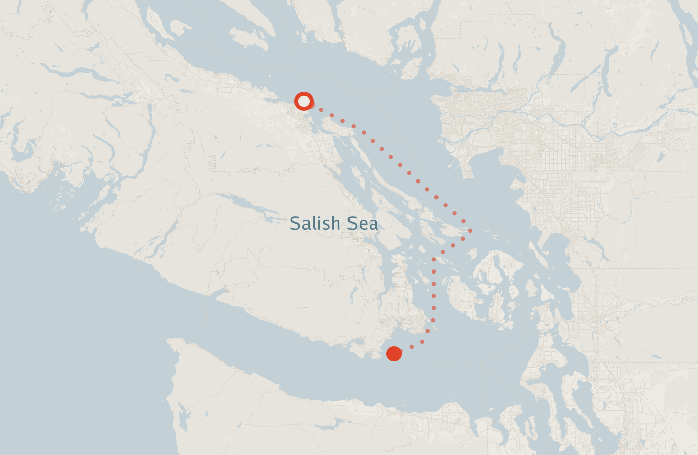 Activity map — real sighting points on an OpenStreetMap basemap