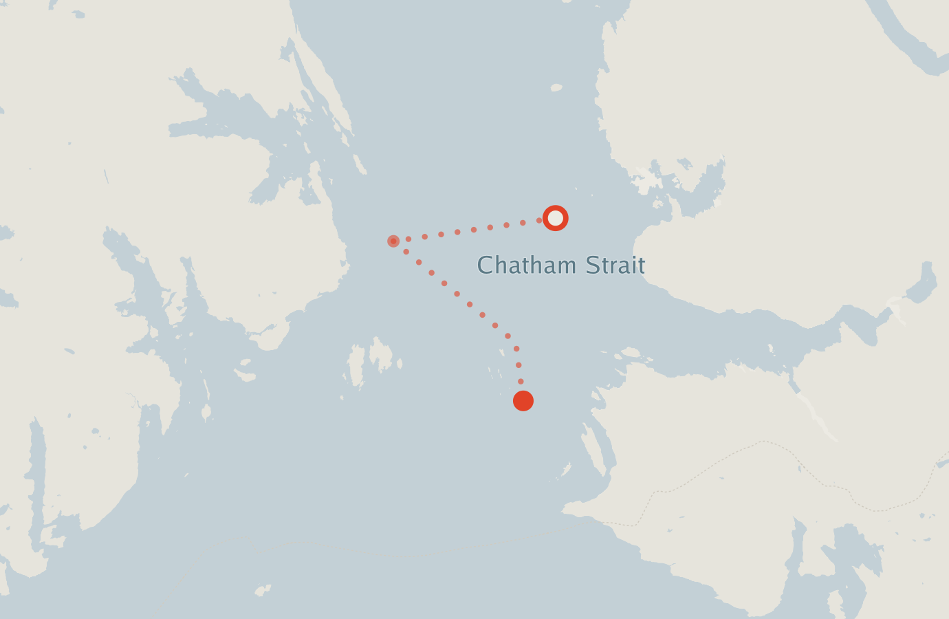 Activity map — real sighting points on an OpenStreetMap basemap