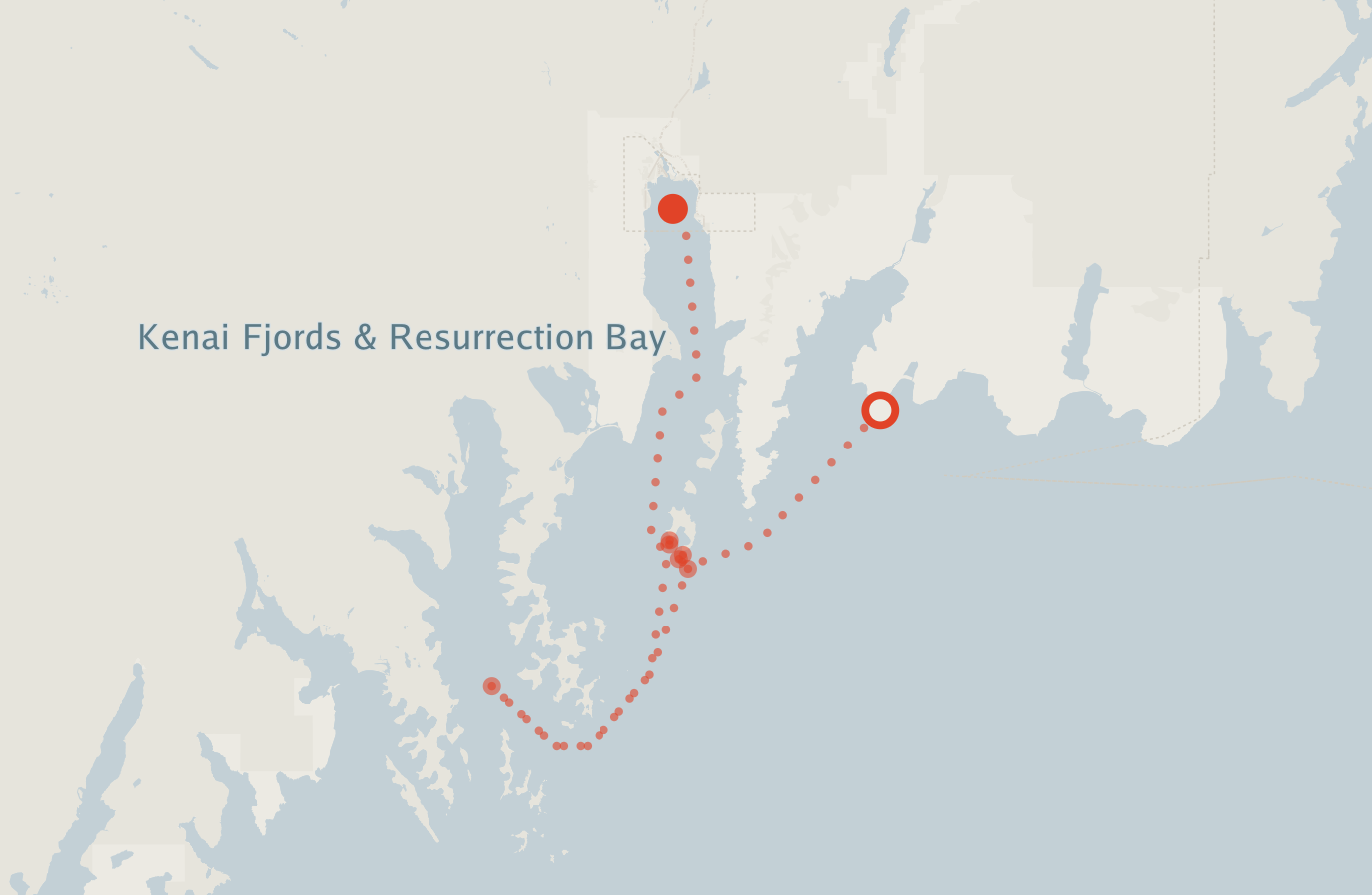 Activity map — real sighting points on an OpenStreetMap basemap