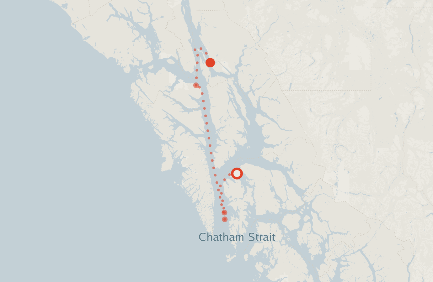 Activity map — real sighting points on an OpenStreetMap basemap