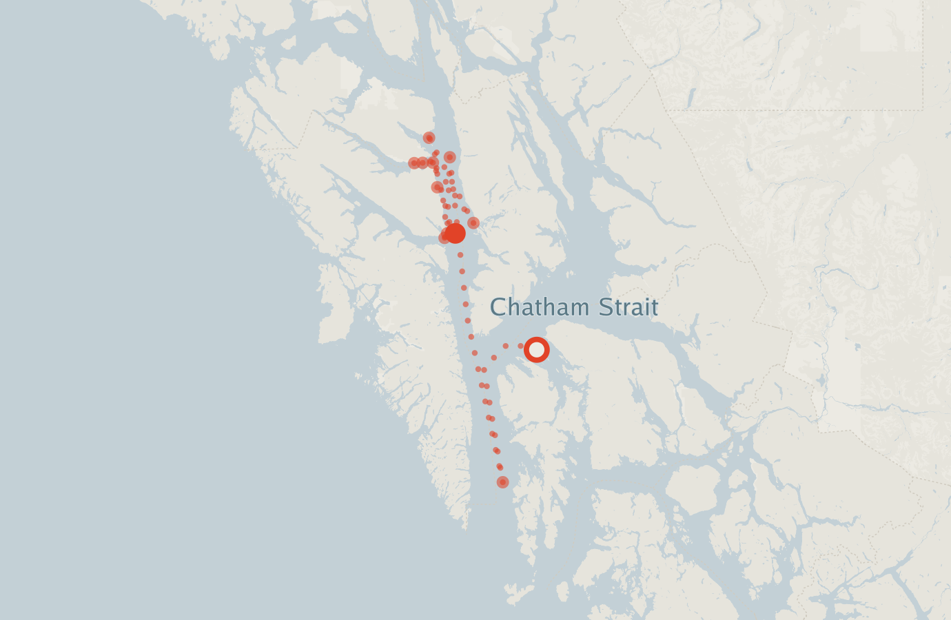 Activity map — real sighting points on an OpenStreetMap basemap