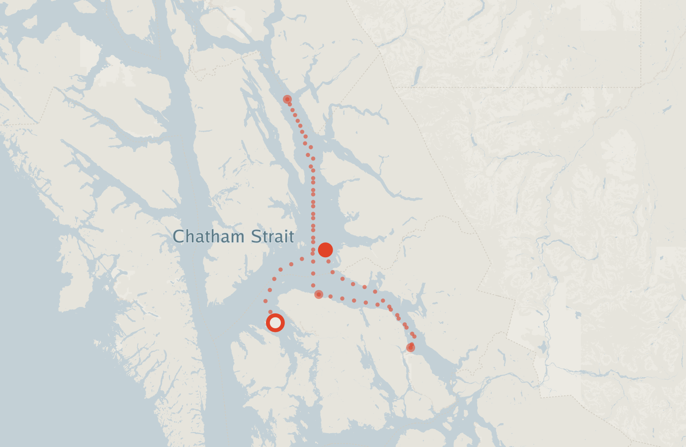 Activity map — real sighting points on an OpenStreetMap basemap