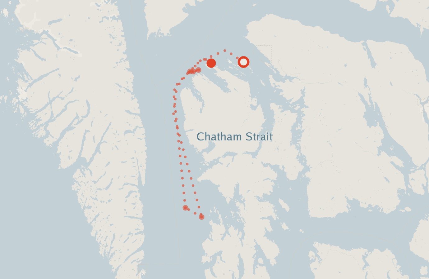 Activity map — real sighting points on an OpenStreetMap basemap