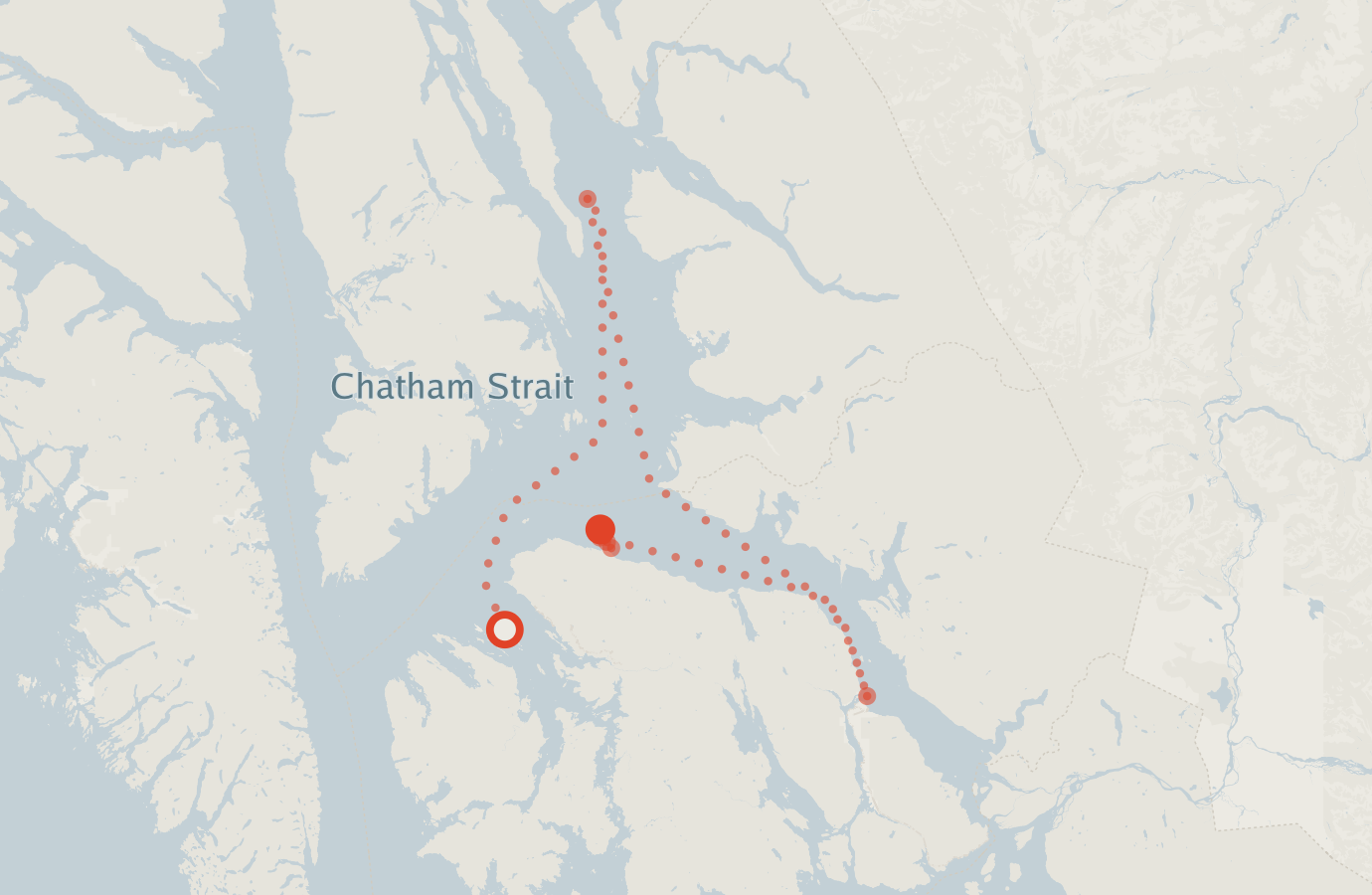 Activity map — real sighting points on an OpenStreetMap basemap