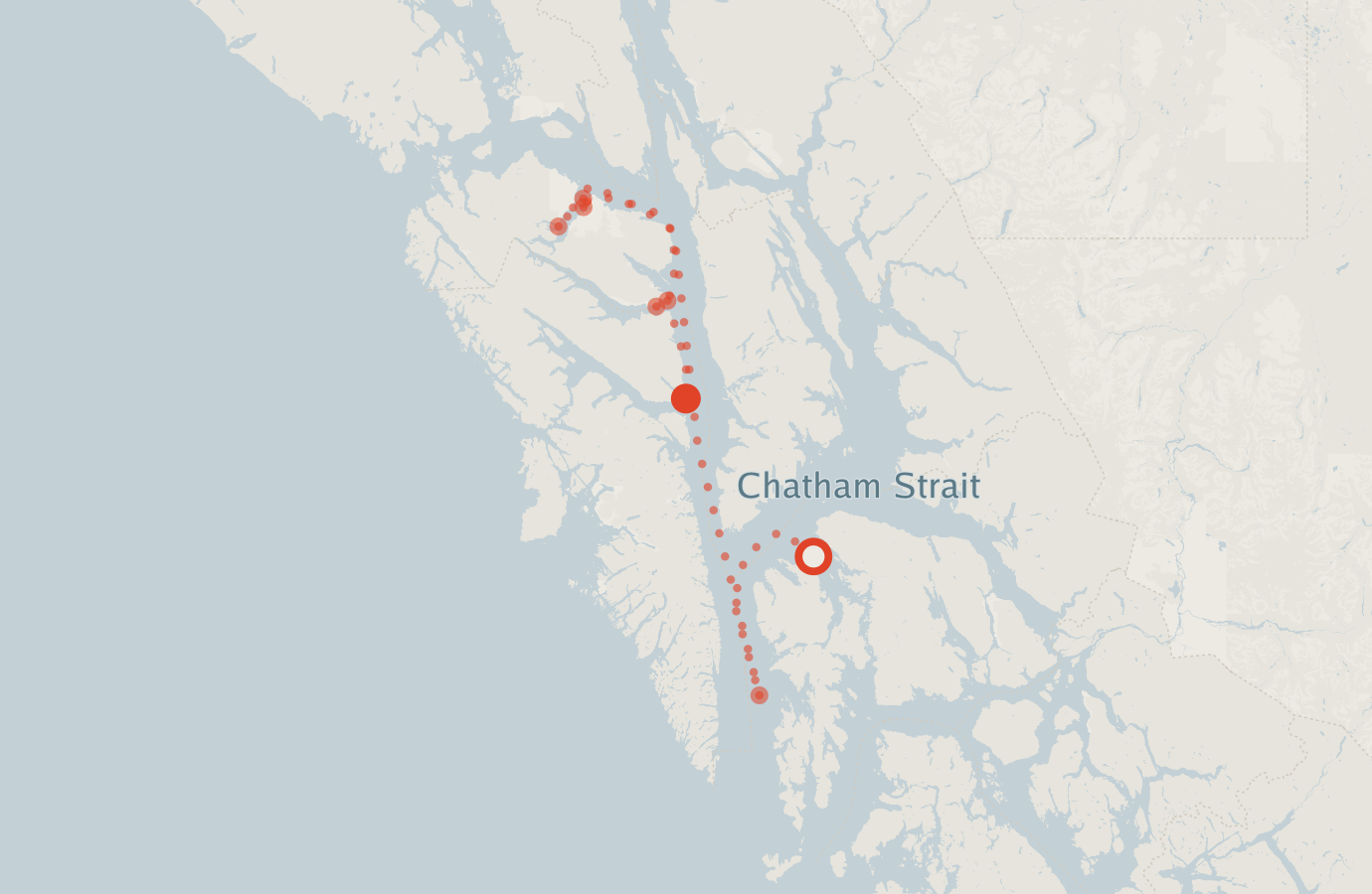 Activity map — real sighting points on an OpenStreetMap basemap