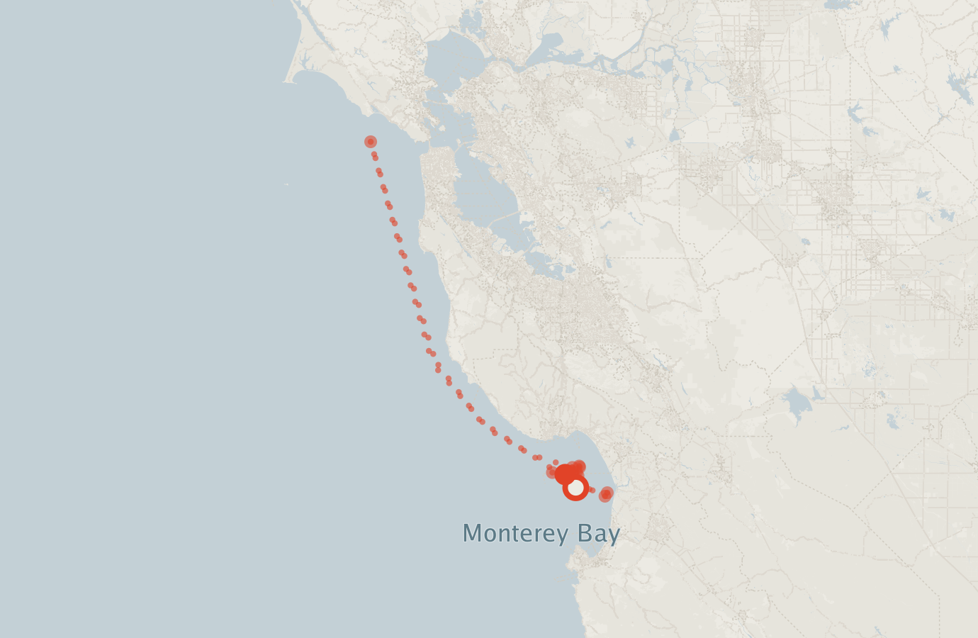 Activity map — real sighting points on an OpenStreetMap basemap