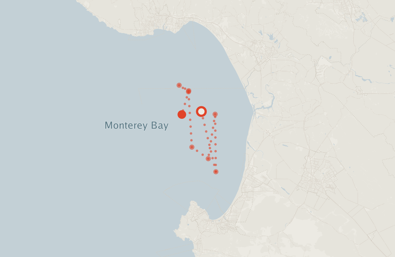 Activity map — real sighting points on an OpenStreetMap basemap