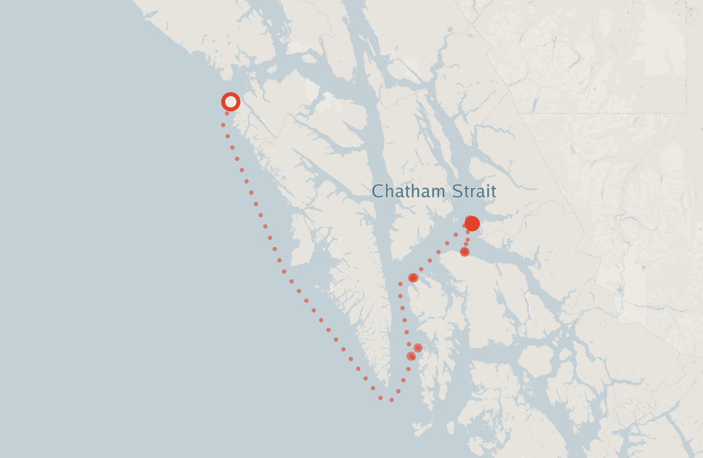 Activity map — real sighting points on an OpenStreetMap basemap