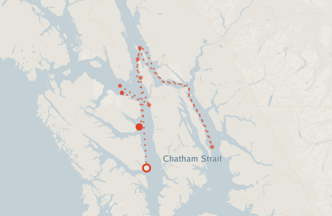 Activity map — real sighting points on an OpenStreetMap basemap