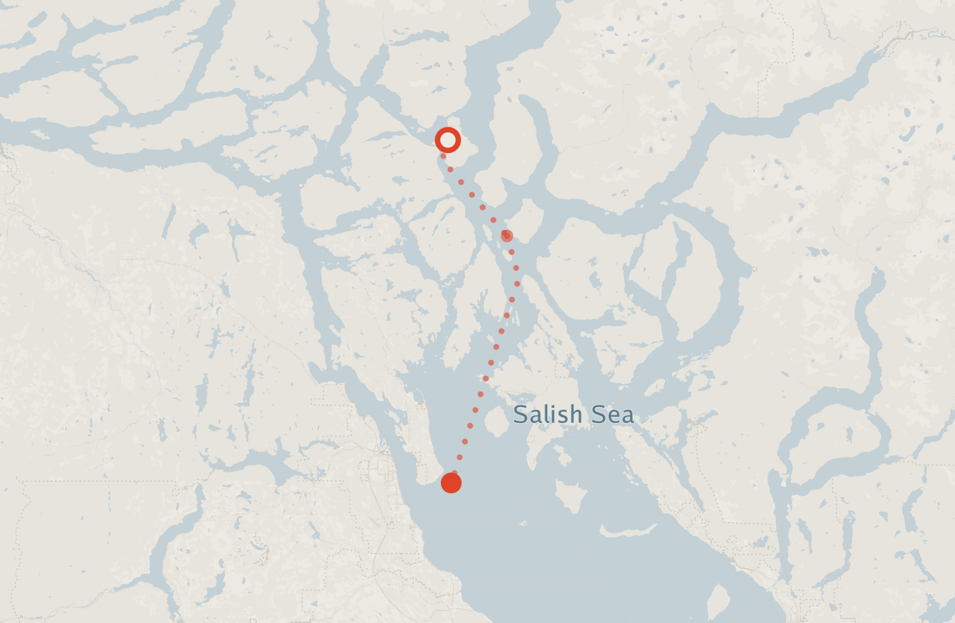 Activity map — real sighting points on an OpenStreetMap basemap