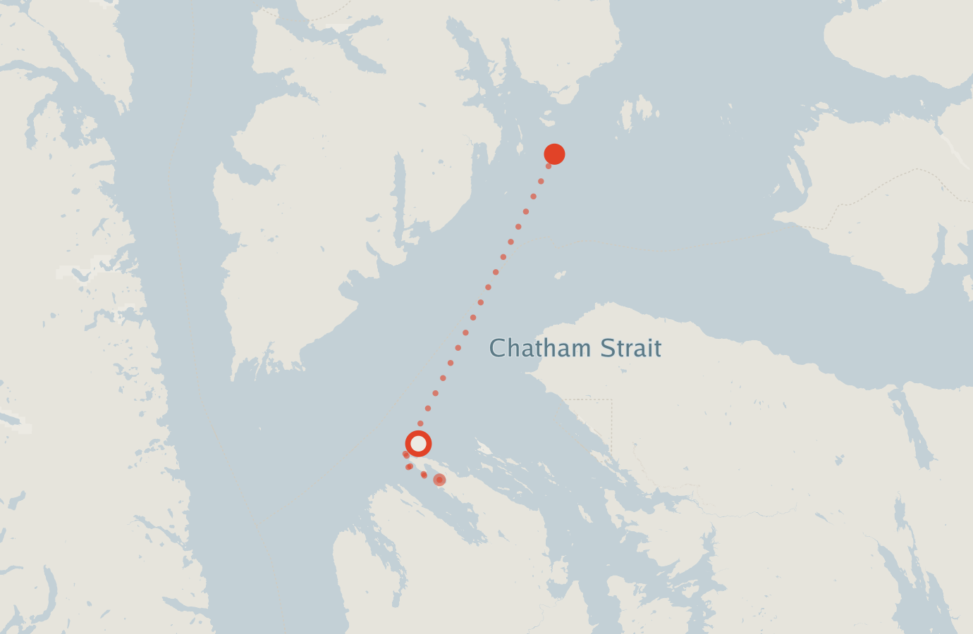 Activity map — real sighting points on an OpenStreetMap basemap