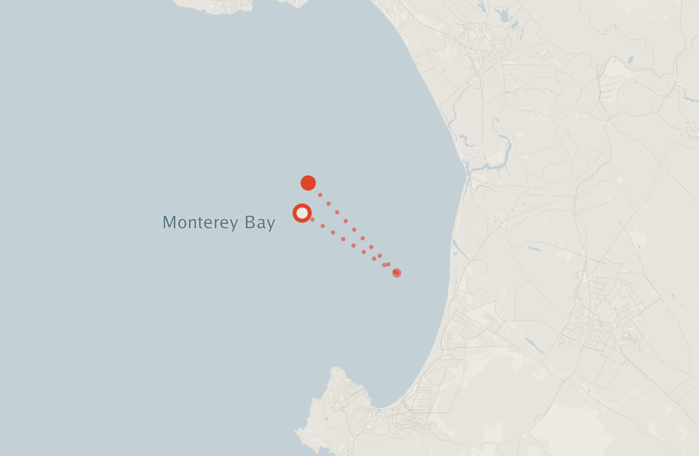 Activity map — real sighting points on an OpenStreetMap basemap