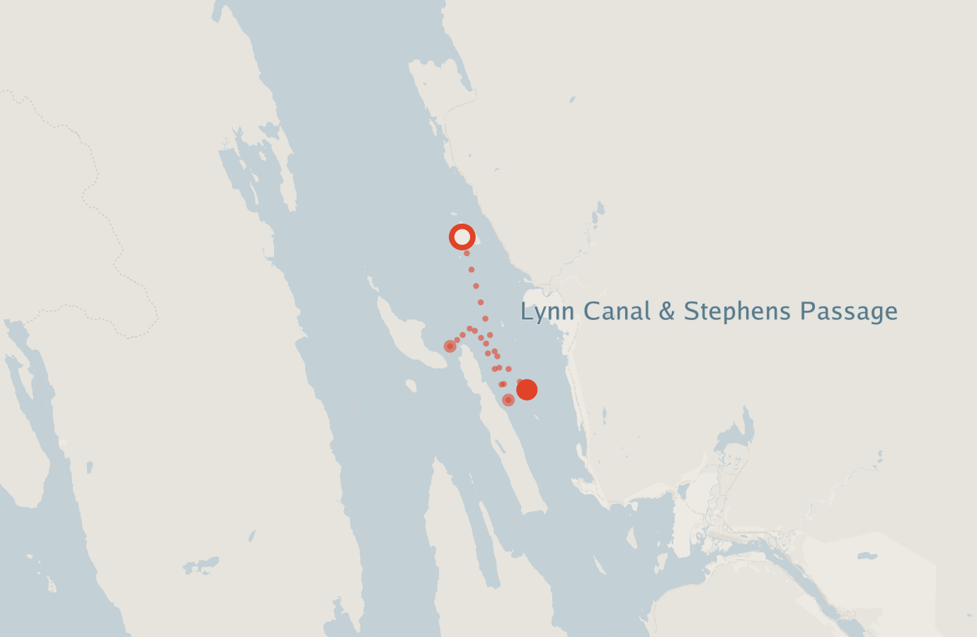 Activity map — real sighting points on an OpenStreetMap basemap