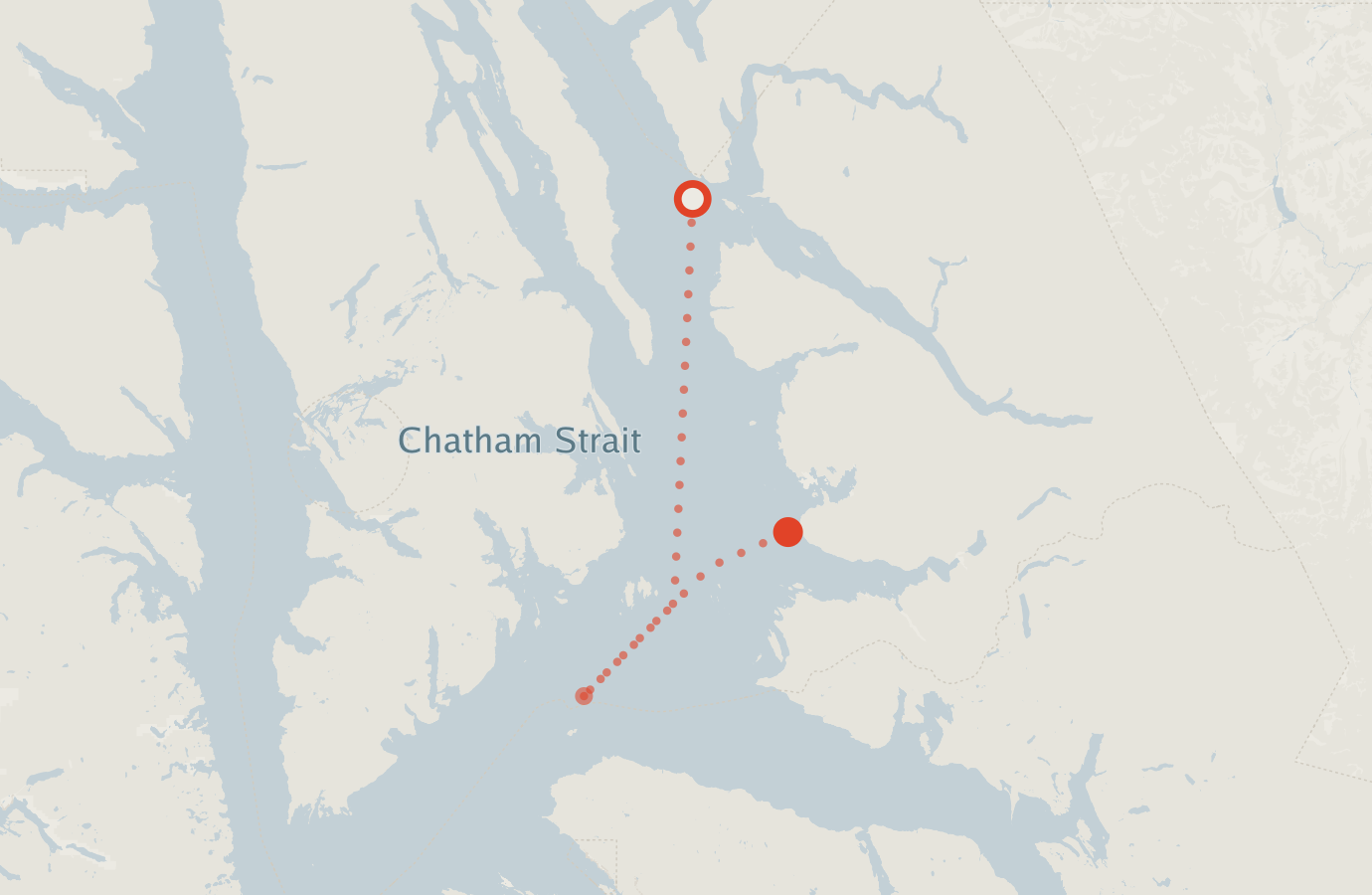 Activity map — real sighting points on an OpenStreetMap basemap