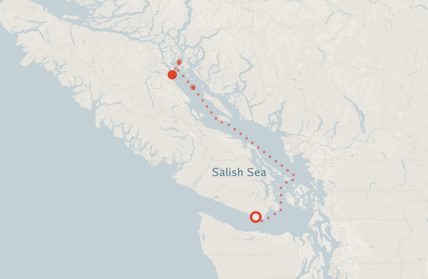 Activity map — real sighting points on an OpenStreetMap basemap