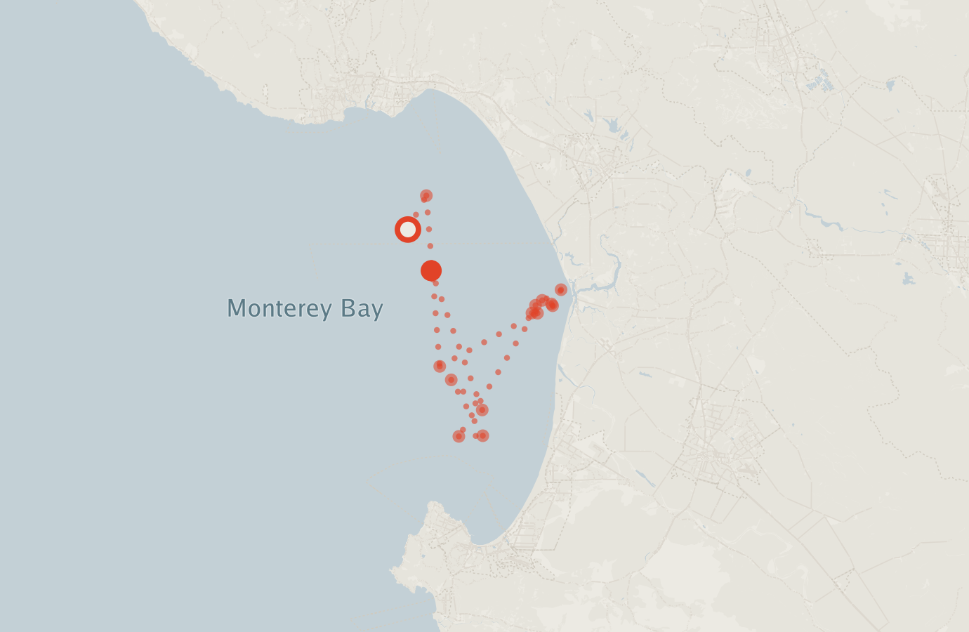 Activity map — real sighting points on an OpenStreetMap basemap
