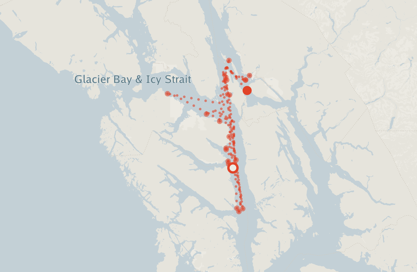 Activity map — real sighting points on an OpenStreetMap basemap