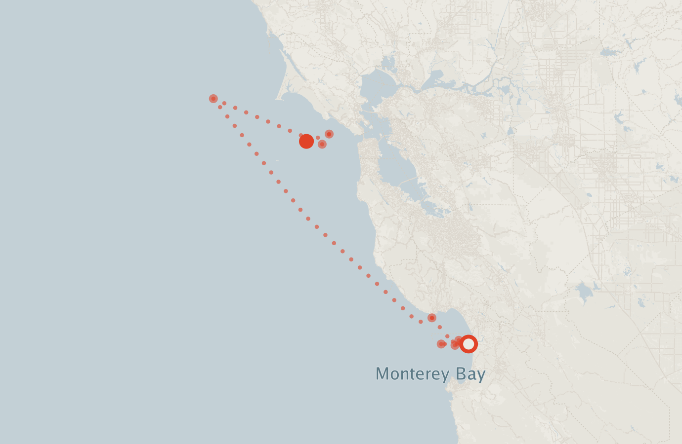 Activity map — real sighting points on an OpenStreetMap basemap