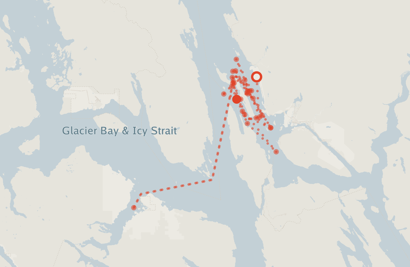 Activity map — real sighting points on an OpenStreetMap basemap
