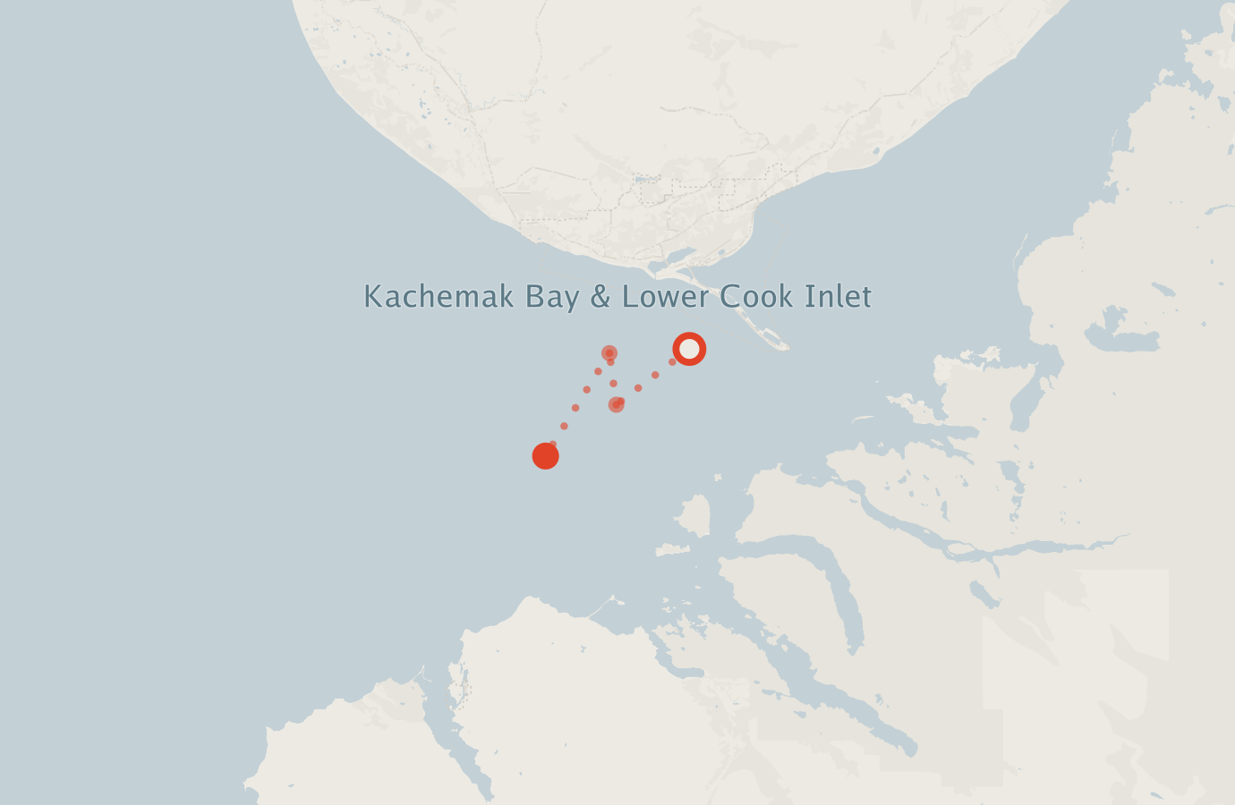 Activity map — real sighting points on an OpenStreetMap basemap