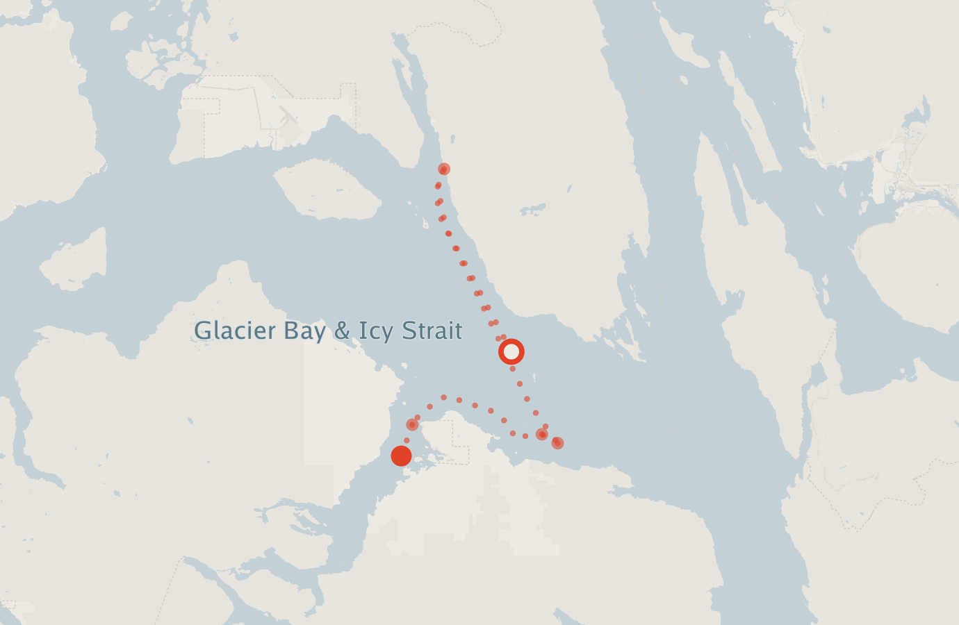 Activity map — real sighting points on an OpenStreetMap basemap